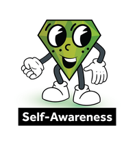 Self Awareness value